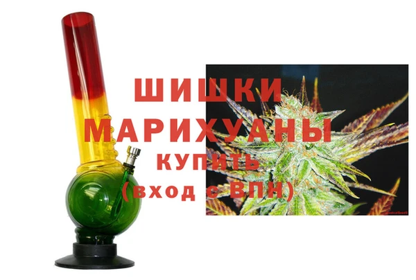 apvp Бородино
