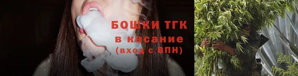 apvp Бородино