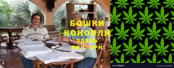 apvp Бородино