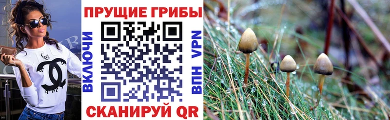 Псилоцибиновые грибы Psilocybe  наркошоп  МЕГА как зайти  Набережные Челны 